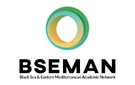 BSEMAN-header